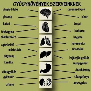 10151362_847458851973496_6694937744068801102_n